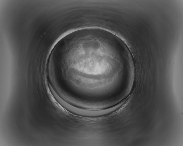 X0000086751534200704131140