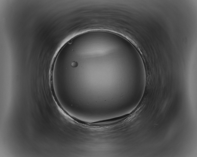 X0000086751535200704131140