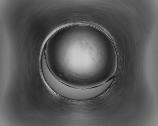 X0000086751536200704131140