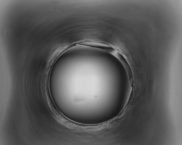 X0000086750001200704201734