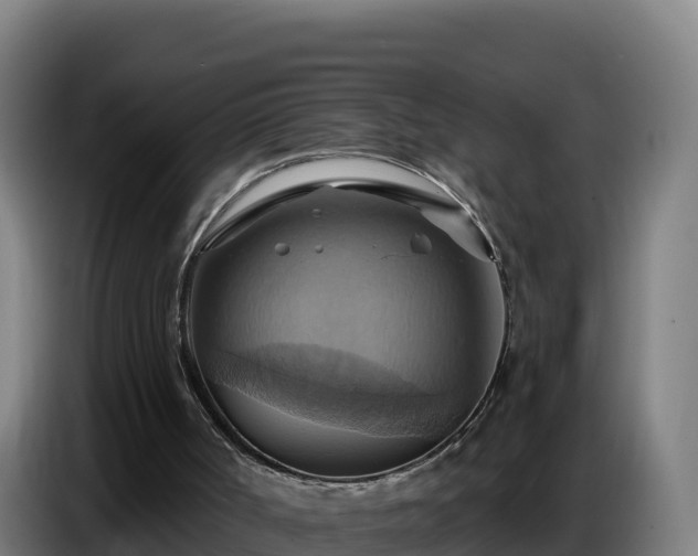 X0000086750002200704201734