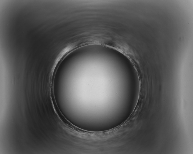 X0000086750003200704201734