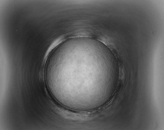 X0000086750004200704201734