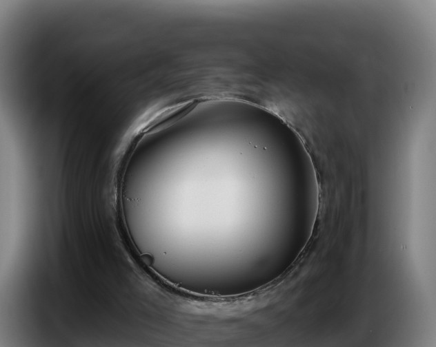 X0000086750005200704201734