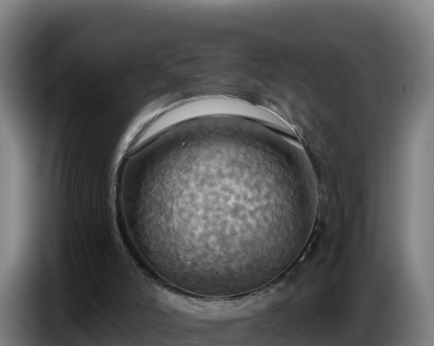 X0000086750006200704201734