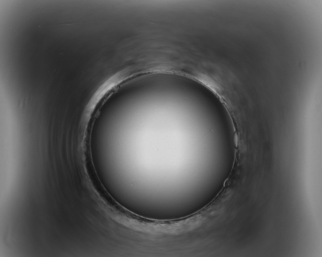 X0000086750007200704201734