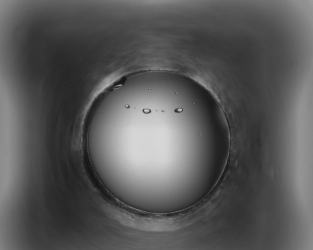 X0000086750008200704201734