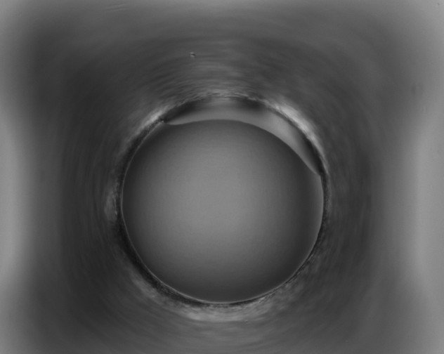 X0000086750009200704201734