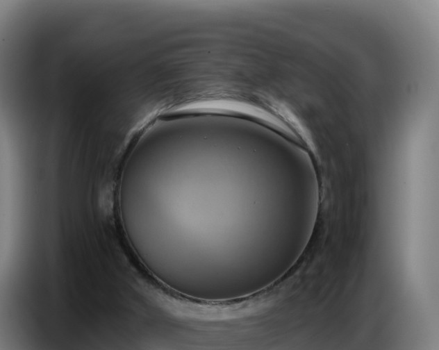 X0000086750010200704201734