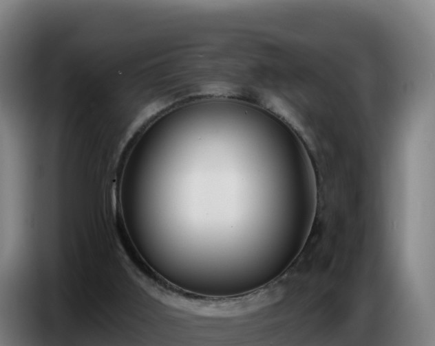 X0000086750011200704201734