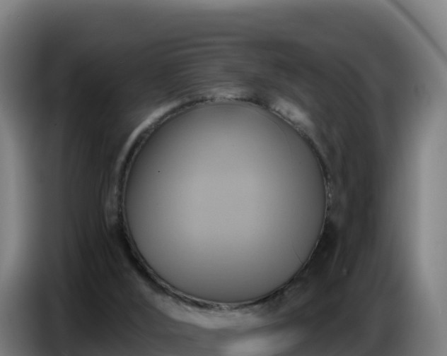 X0000086750012200704201734