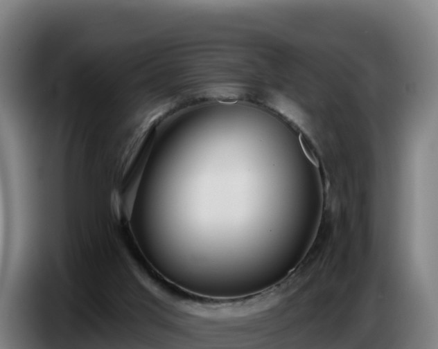 X0000086750013200704201734