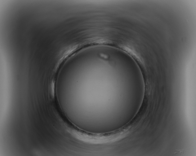 X0000086750014200704201734