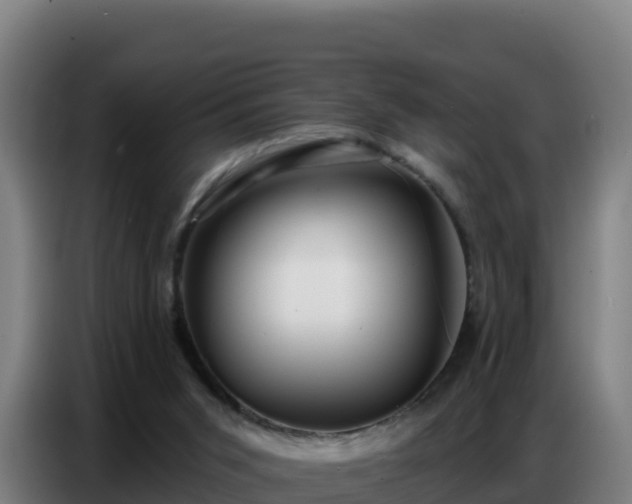 X0000086750015200704201734