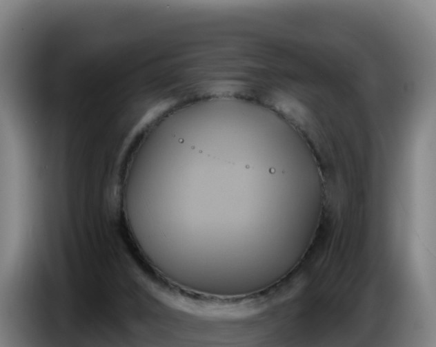 X0000086750016200704201734