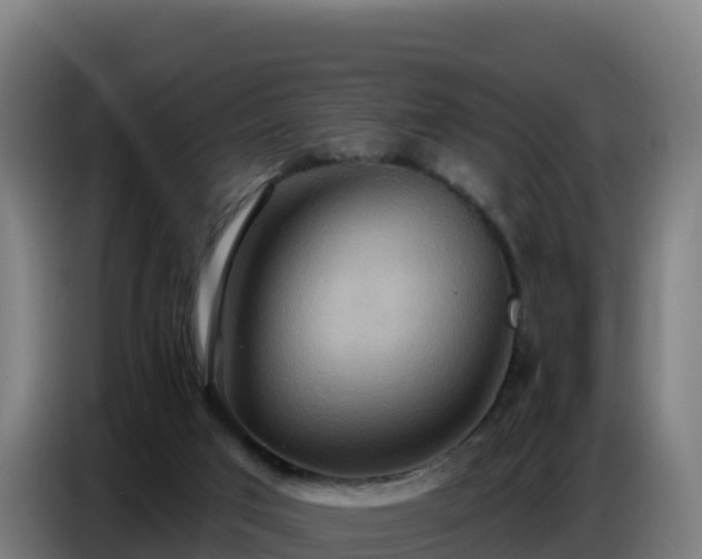 X0000086750017200704201734