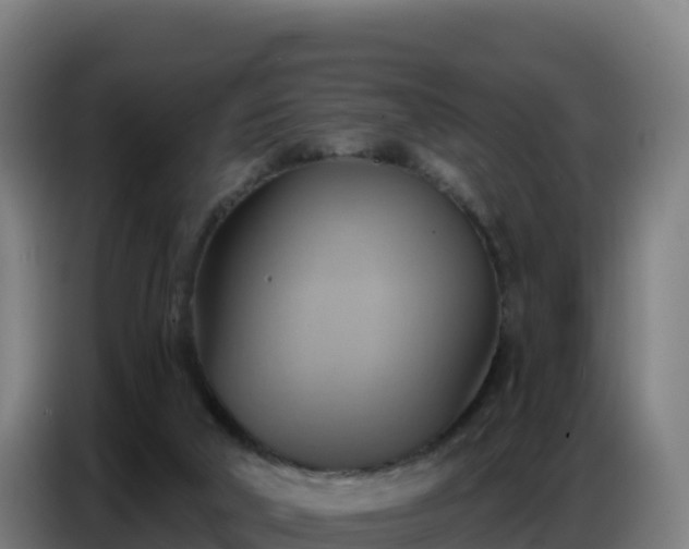 X0000086750018200704201734