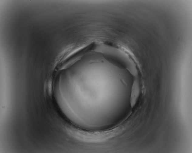 X0000086750019200704201734