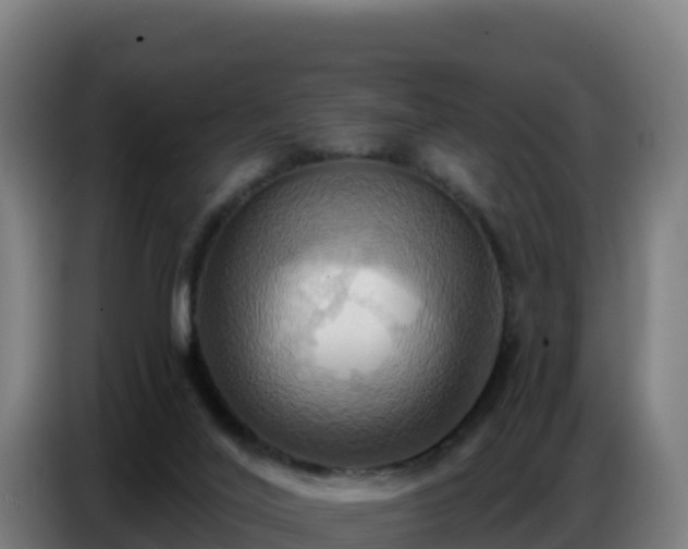 X0000086750020200704201734