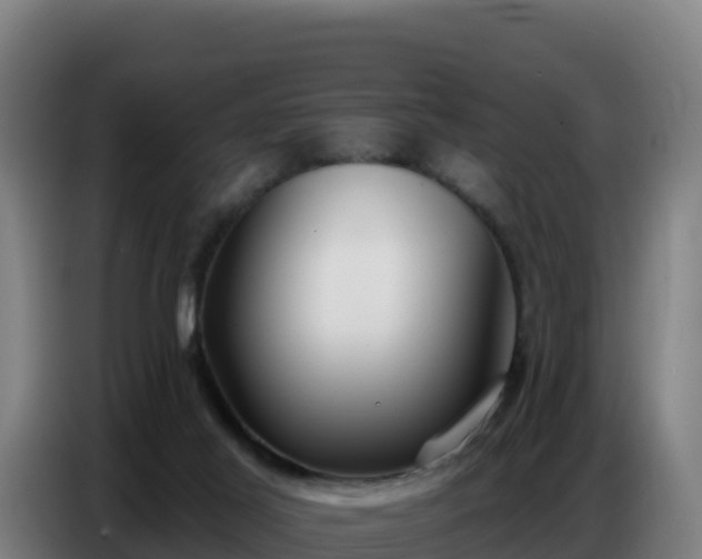 X0000086750021200704201734