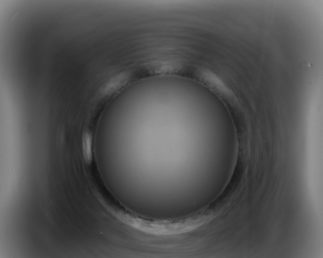 X0000086750022200704201734