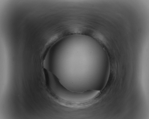 X0000086750023200704201734