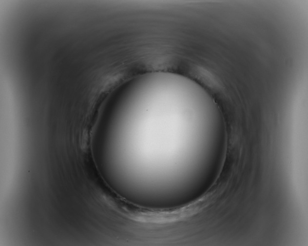 X0000086750025200704201734