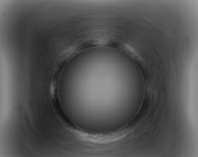 X0000086750026200704201734