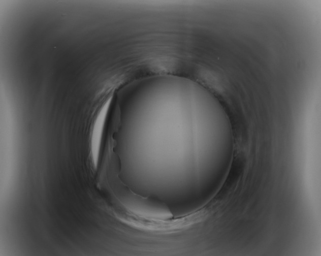 X0000086750027200704201734