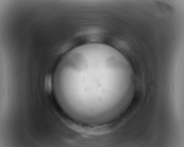 X0000086750028200704201734