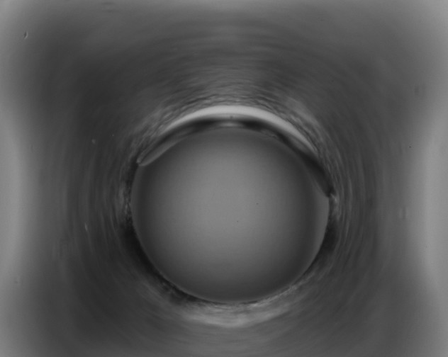 X0000086750029200704201734