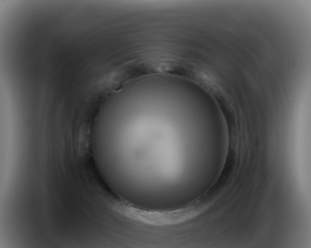 X0000086750030200704201734