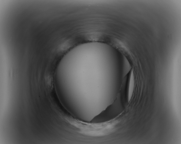 X0000086750031200704201734