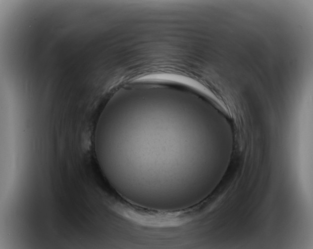 X0000086750032200704201734