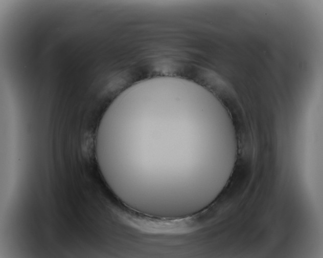 X0000086750036200704201734