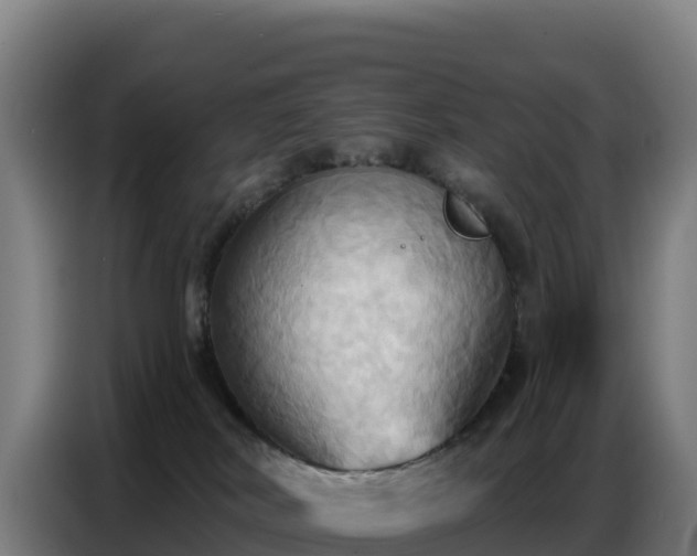 X0000086750038200704201734