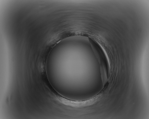 X0000086750039200704201734