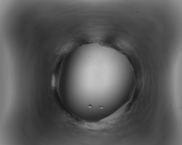 X0000086750041200704201734