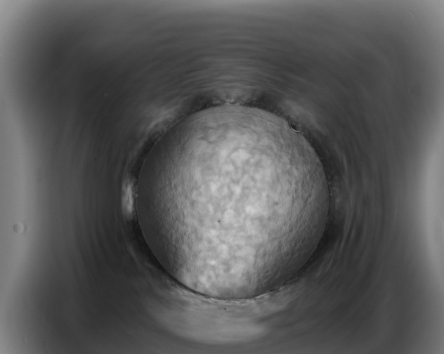 X0000086750042200704201734