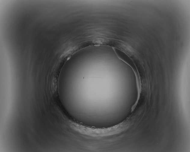 X0000086750043200704201734