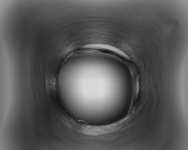 X0000086750045200704201734