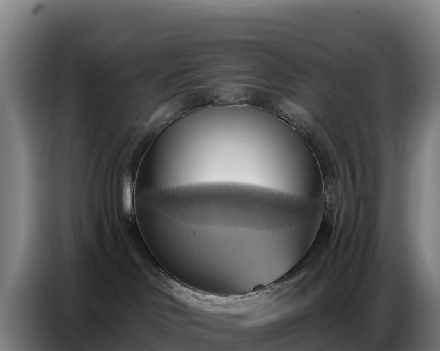 X0000086750046200704201734