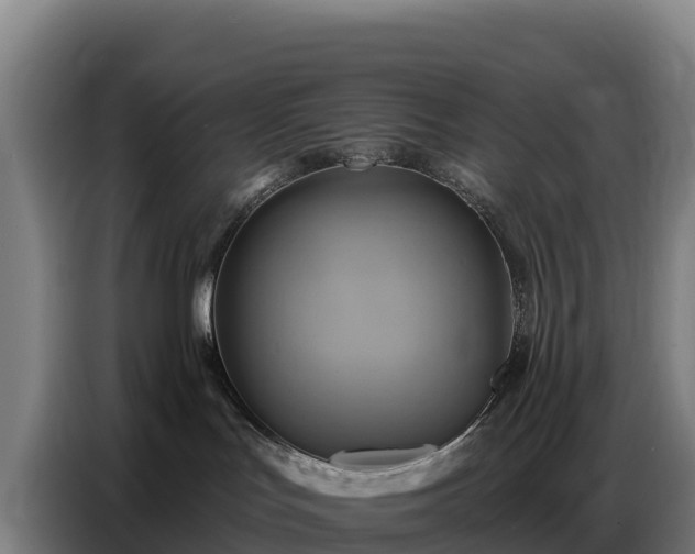 X0000086750047200704201734