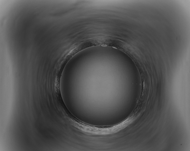 X0000086750048200704201734