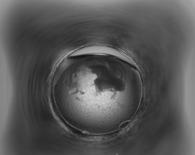 X0000086750049200704201733