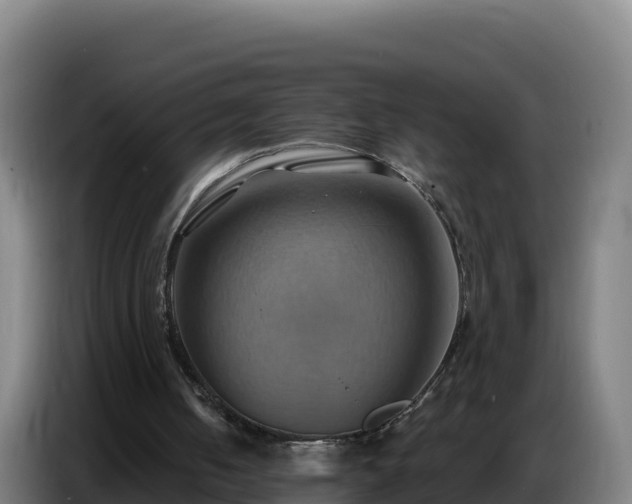 X0000086750050200704201733