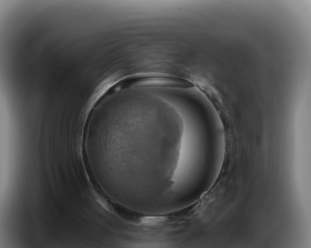 X0000086750051200704201733