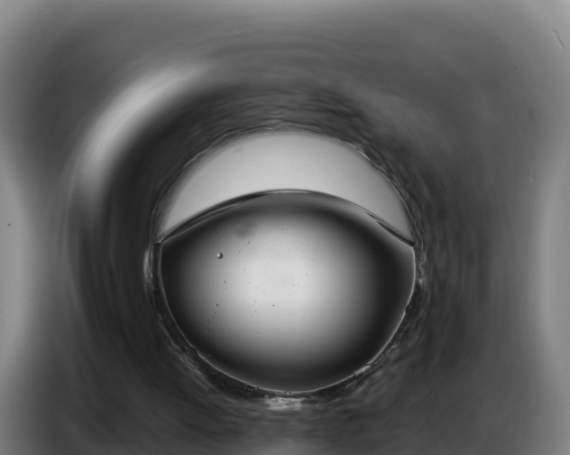 X0000086750052200704201733