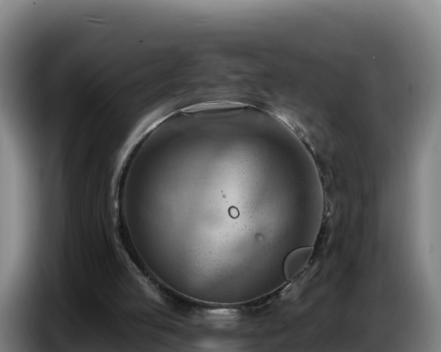 X0000086750053200704201733