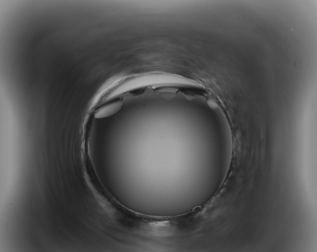 X0000086750054200704201733